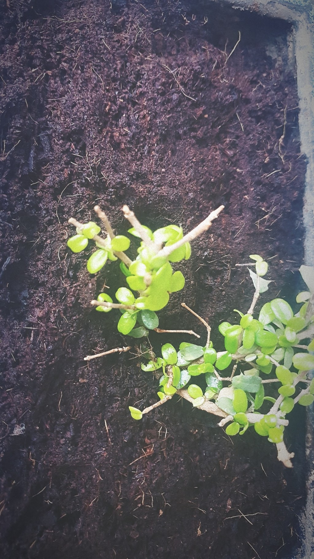 Simplicity and kindness&nbsp;❣